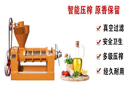 茶油榨油機多少錢一臺？
