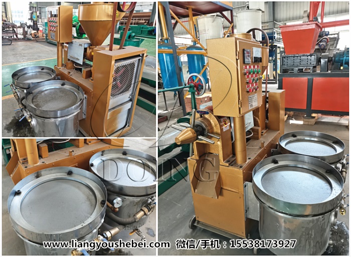 菜籽榨油機(jī)